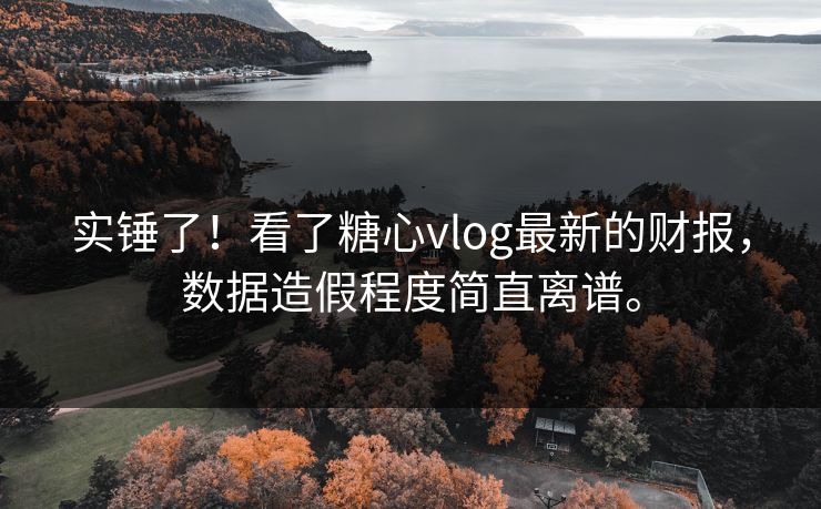 实锤了！看了糖心vlog最新的财报，数据造假程度简直离谱。