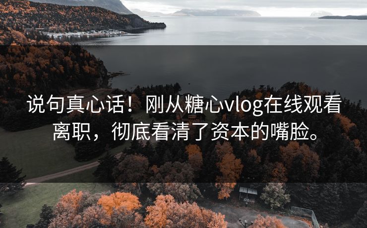 说句真心话！刚从糖心vlog在线观看离职，彻底看清了资本的嘴脸。