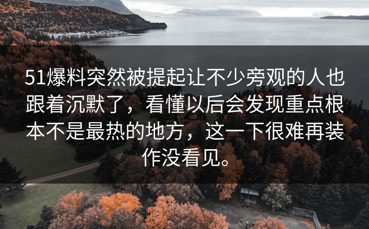 51爆料突然被提起让不少旁观的人也跟着沉默了，看懂以后会发现重点根本不是最热的地方，这一下很难再装作没看见。